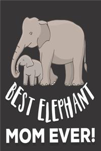 Best Elephant Mom Ever