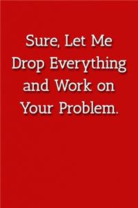 Sure, Let Me Drop Everything and Work on Your Problem. Notebook
