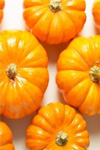 2020 Weekly Planner Small Pumpkins Fall Autumn 134 Pages