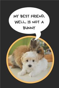 My Best Friend, Well, is Not A Bunny