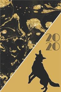 2020