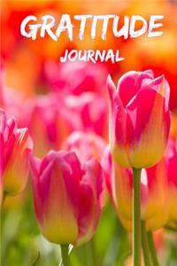 Gratitude Journal