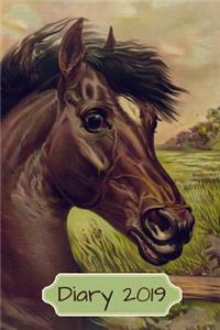 Diary 2019