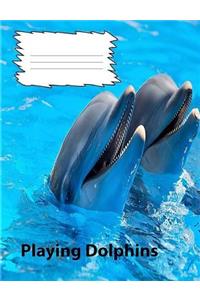 Dolphin wide lined ruled composition book