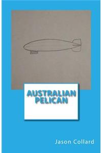 Australian Pelican