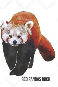 Red Pandas Rock