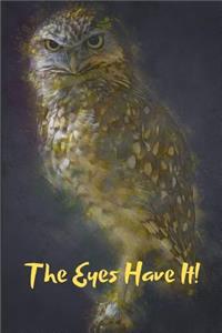 Owl Lovers Blank Lined Journal