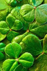 Green Shamrocks - Blank Notebook