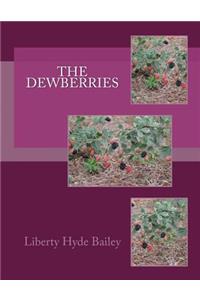Dewberries