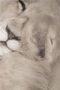 White Lions Notebook