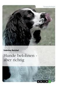 Hunde belohnen - aber richtig