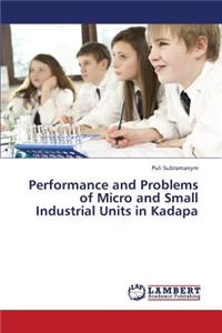 Performance and Problems of Micro and Small Industrial Units in Kadapa