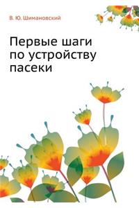 Первые шаги по устройству пасеки
