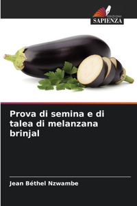 Prova di semina e di talea di melanzana brinjal