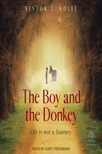 Boy and the Donkey