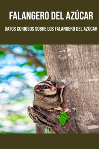 Falangero del azúcar