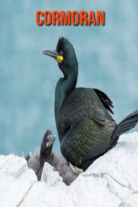 Cormoran