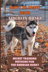 Ways To Train Your Siberian Husky