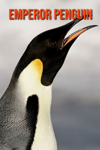 Emperor Penguin