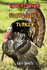 Interesting Facts about Turkey