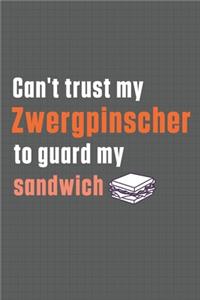 Can't trust my Zwergpinscher to guard my sandwich