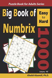 Big Book of Numbrix