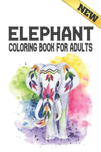 Coloring Book For Adults Elephant
