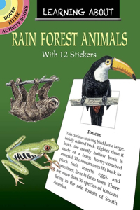 Learning About Rainforest Animals