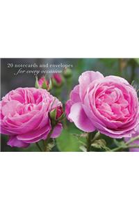 Card Box of 20 Notecards and Envelopes: Pink Rose