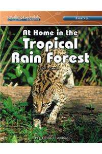 At Home in the Tropical Rain Forest