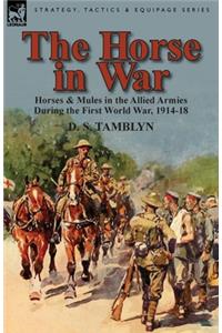 Horse in War