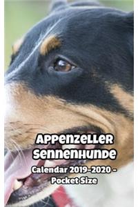 Appenzeller Sennenhunde Calendar 2019-2020 - Pocket Size