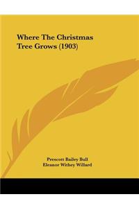 Where The Christmas Tree Grows (1903)