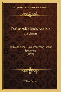 The Labrador Duck, Another Specimen