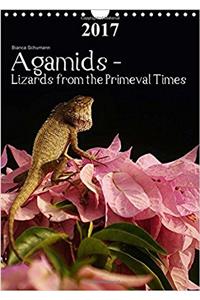Agamids - Lizards from the Primeval Times 2017