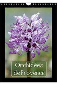 Orchidees De Provence 2018