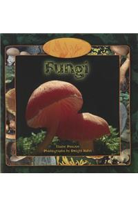 Fungi