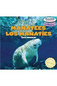 Manatees / Los Manatíes
