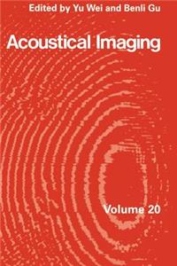 Acoustical Imaging