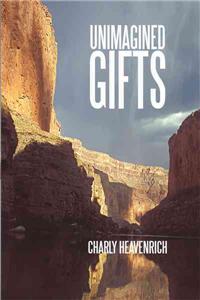 Unimagined Gifts