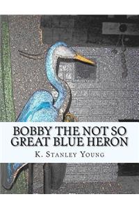 Bobby the Not So Great Blue Heron