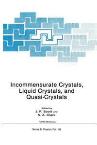 Incommensurate Crystals, Liquid Crystals, and Quasi-Crystals