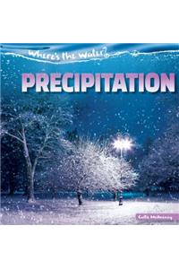 Precipitation