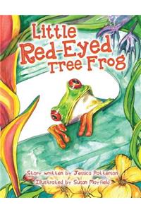 Little Red-Eyed Tree Frog