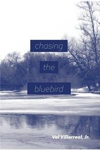 Chasing the Bluebird