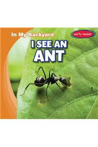 I See an Ant