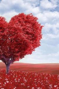 A Flowering Heart Shaped Tree in a Meadow Fantasy Illustration Journal