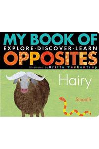 My Book of Opposites