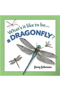 A Dragonfly?