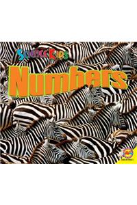 Numbers